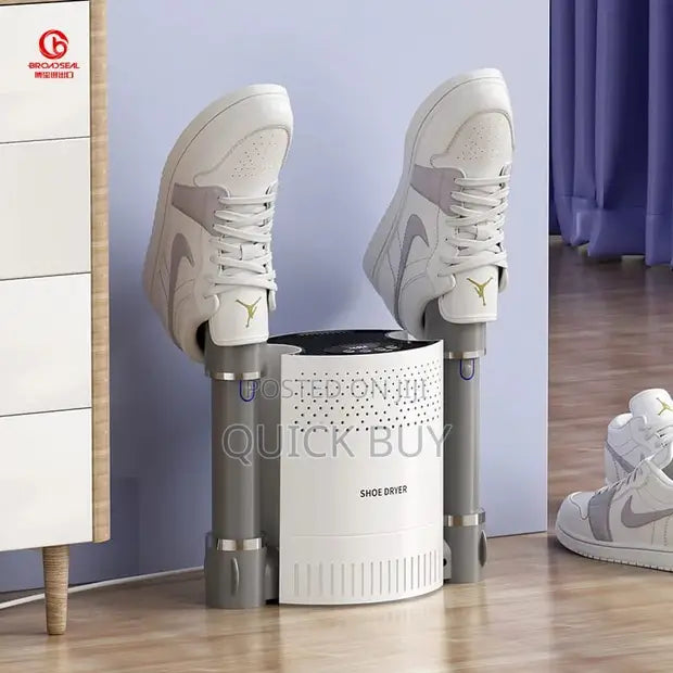 Multifunctional shoe drier